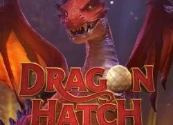 Dragon Hatch